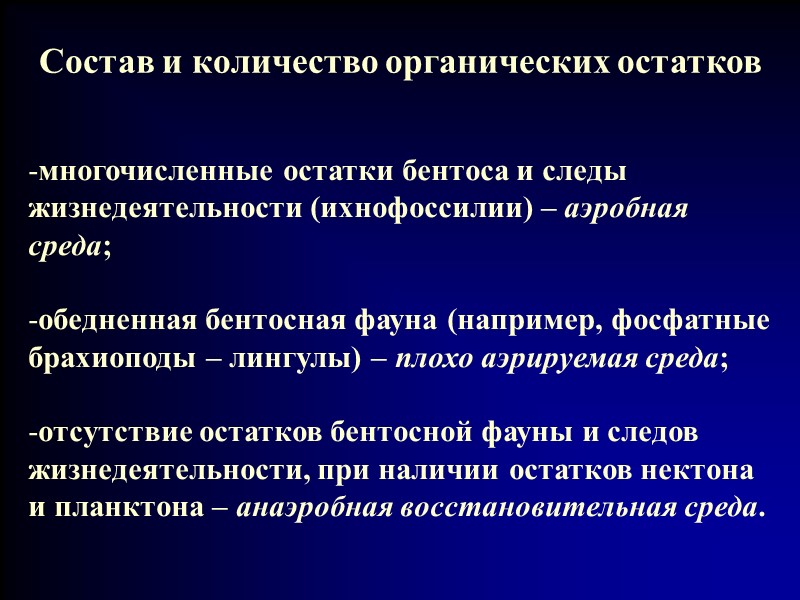 Состав и количество органических остатков многочисленные остатки бентоса и следы жизнедеятельности (ихнофоссилии) – аэробная